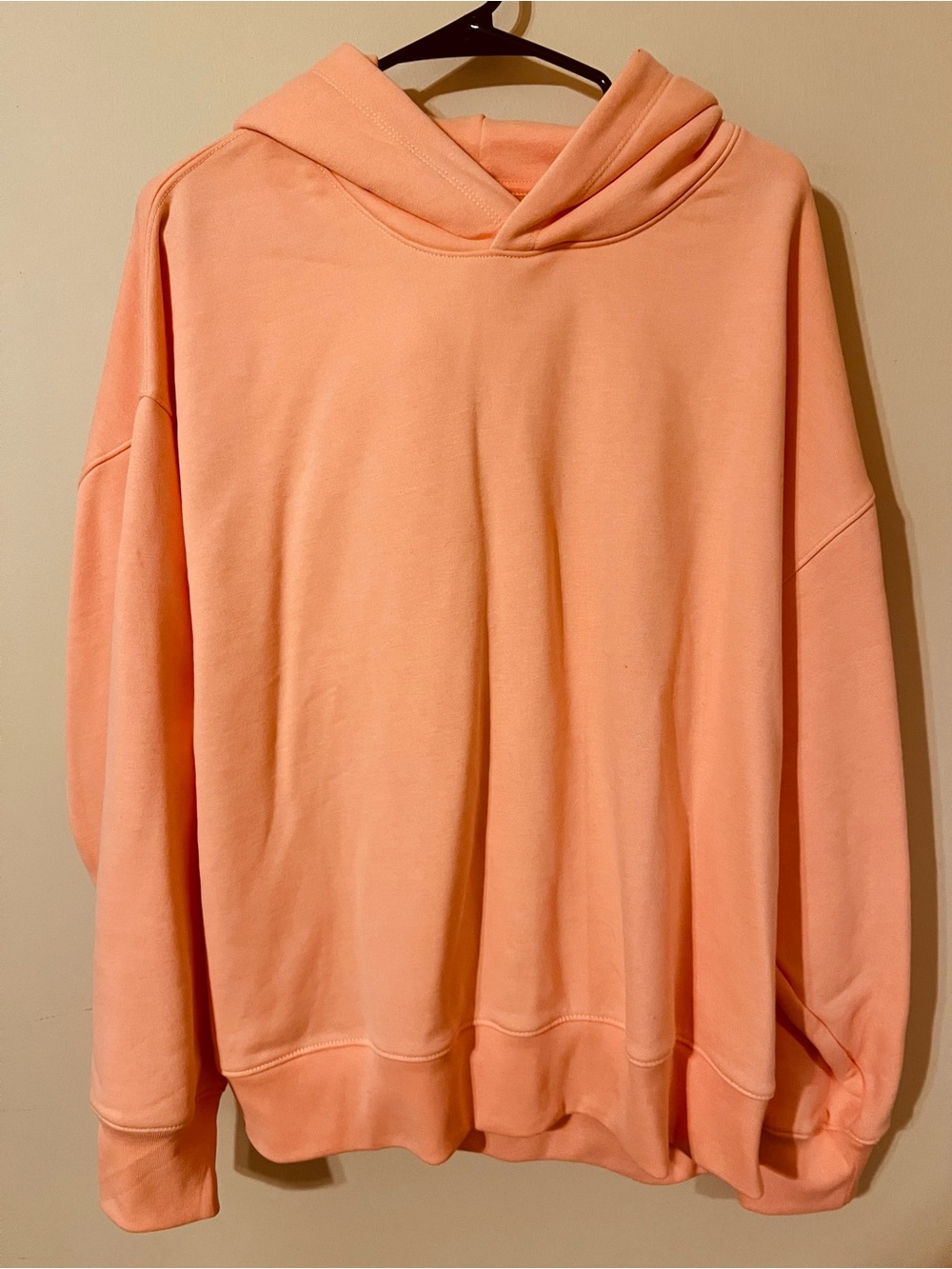 American Eagle Luxe Hoodie
